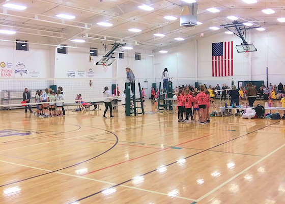 2020 Volleyball Clinics