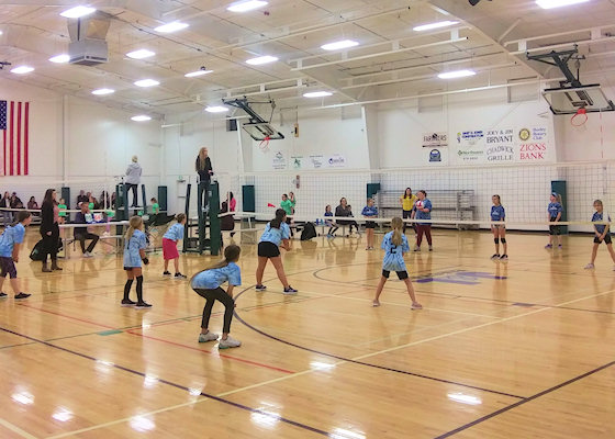 2020 Volleyball Clinics